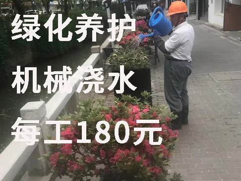绿化养护