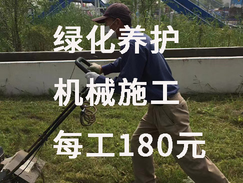 绿化养护
